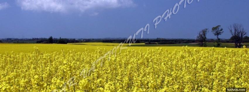 Photo plain field nature Facebook Cover for Free