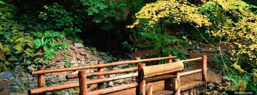 Photo little bridge in nature Facebook Cover for Free
