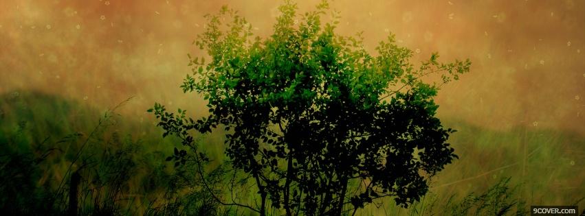 Photo bush and stars nature Facebook Cover for Free