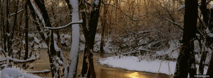 Photo winter sunrise forest nature Facebook Cover for Free