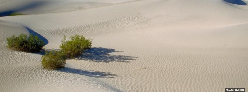 Photo plants in desert nature Facebook Cover for Free
