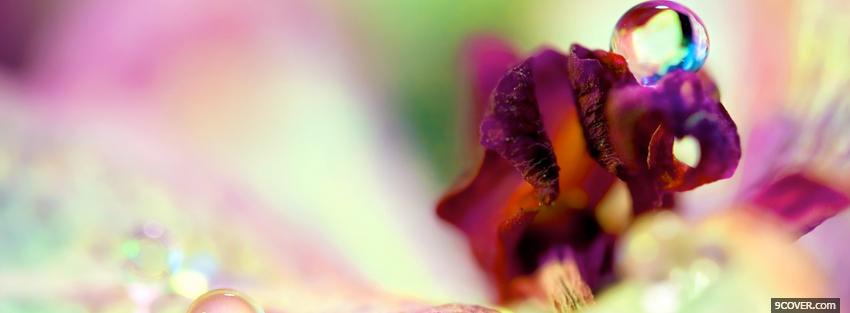 Photo colorful spring nature Facebook Cover for Free