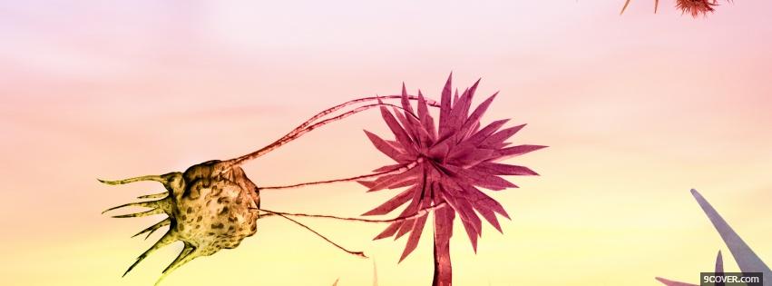 Photo odd flower nature Facebook Cover for Free