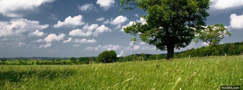 Photo tree landscape nature Facebook Cover for Free