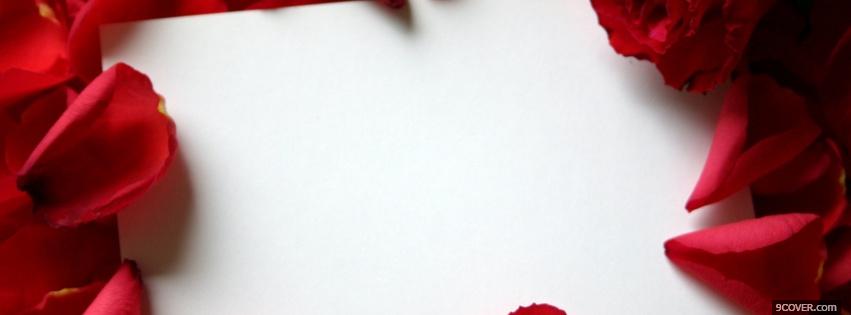Photo red petals nature Facebook Cover for Free