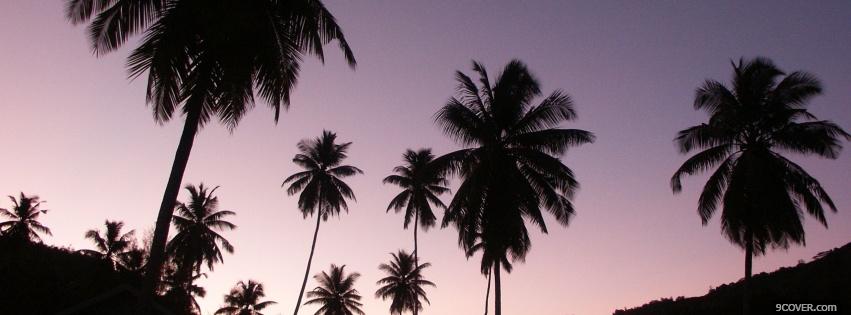 Photo purple sky palm trees Facebook Cover for Free