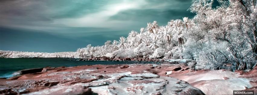 Photo white rocks and trees Facebook Cover for Free