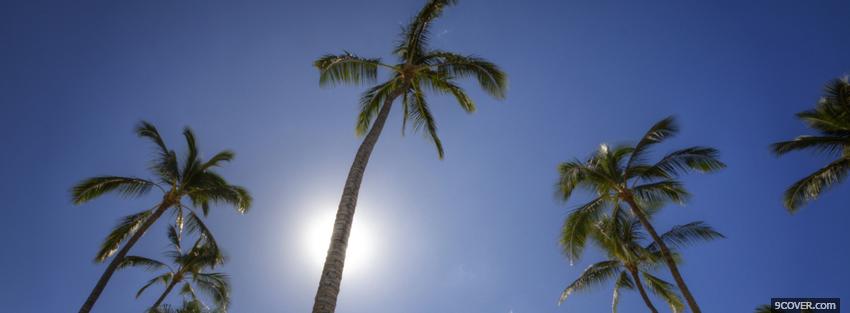 Photo palm trees sun nature Facebook Cover for Free