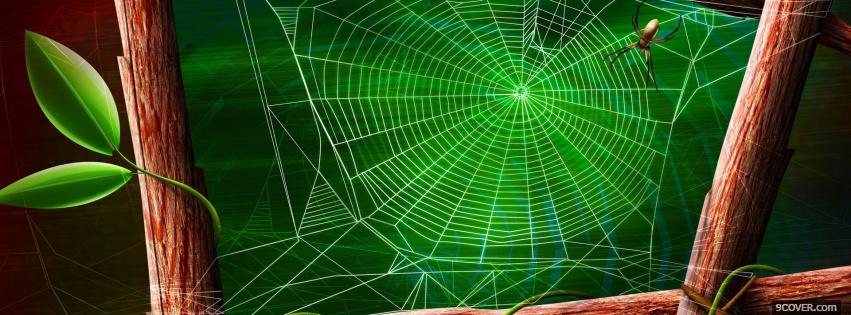 Photo spider web branches nature Facebook Cover for Free