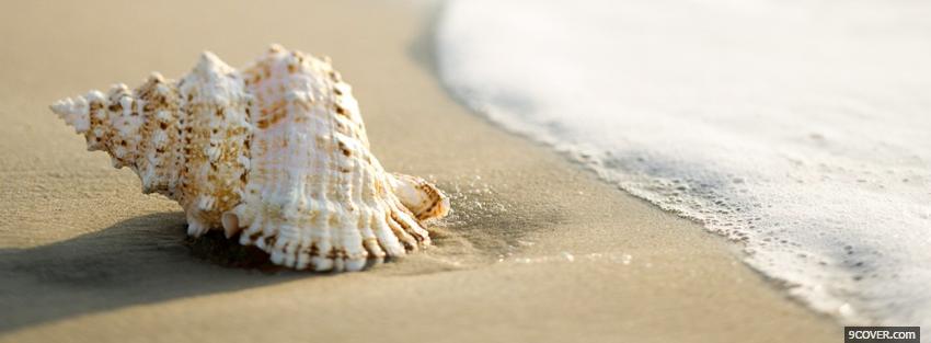 Photo shell and beach nature Facebook Cover for Free