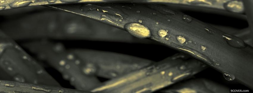 Photo water drops grass nature Facebook Cover for Free
