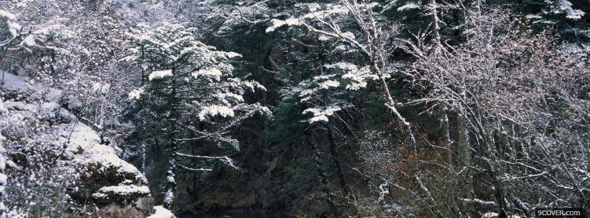 Photo trees and snowfall nature Facebook Cover for Free