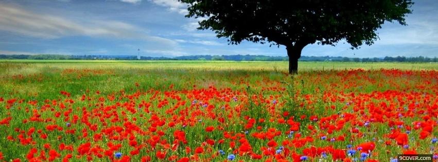 Photo tree red flowers nature Facebook Cover for Free