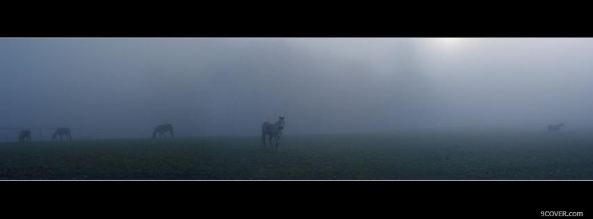 Photo gloomy sky horses nature Facebook Cover for Free