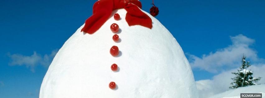 Photo big white snowman Facebook Cover for Free