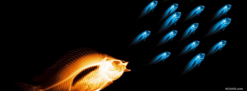 Photo neon fishes creative Facebook Cover for Free