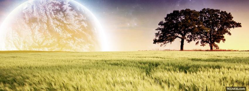 Photo moon grass trees creative Facebook Cover for Free