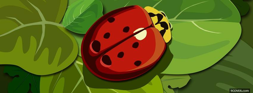 Photo ladybug creative Facebook Cover for Free