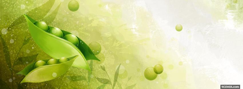 Photo vegetables creative Facebook Cover for Free