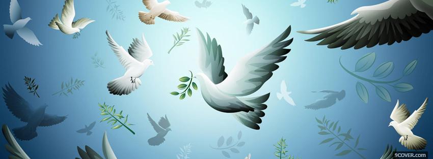 Photo white doves creative Facebook Cover for Free