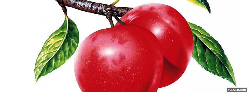 Photo fresh fruits Facebook Cover for Free