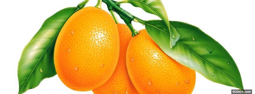 Photo citrus fruits Facebook Cover for Free