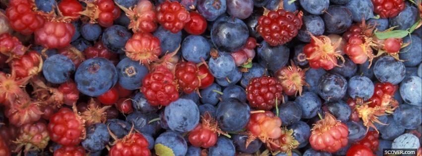 Photo blueberries and rasberries Facebook Cover for Free