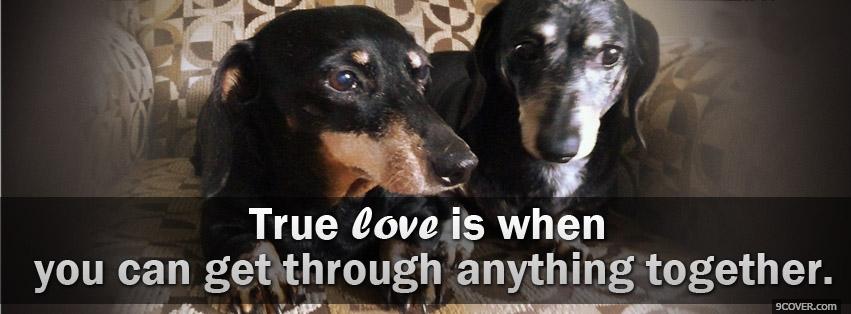 Photo True Love  Facebook Cover for Free