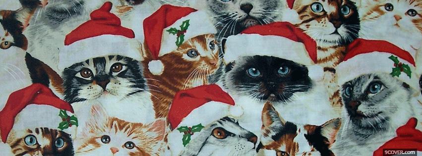 Photo Christmas Cutes Cats Facebook Cover for Free