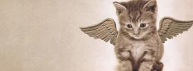 angel kitty adorable facebook cover