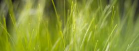 nature southing grass facebook cover