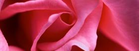 elegant rose nature facebook cover