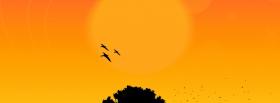 birds flying sunset facebook cover