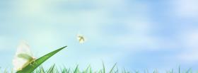 insects and grass nature facebook cover