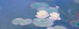 water lilies nature facebook cover