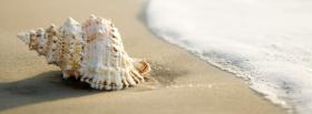shell and beach nature facebook cover