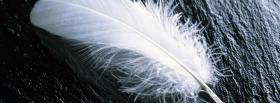 feather black and white facebook cover