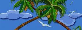 palm trees creative facebook cover