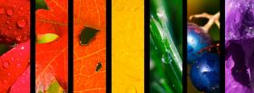 nature colors creative facebook cover