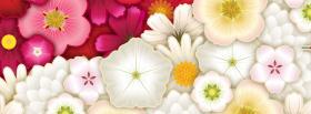white pink flowers creative facebook cover