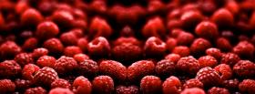 many rasberries food facebook cover