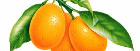 citrus fruits facebook cover