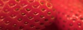 strawberry close up facebook cover