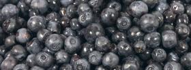 blueberries food facebook cover