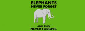 elephants never forget quotes facebook cover