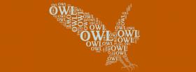landing owl typography facebook cover