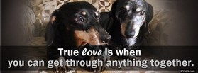 True Love  facebook cover