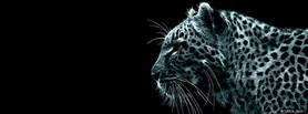 Snow Leopard facebook cover