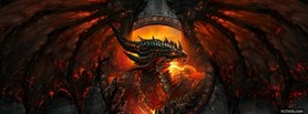 World Of Warcraft Dragon facebook cover