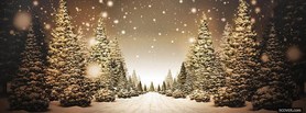 Beautiful Christmas Road facebook cover
